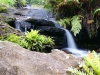 Kleine stroompje bij Katoomba Falls